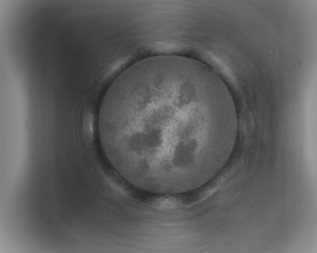 X0000112010115200908101350