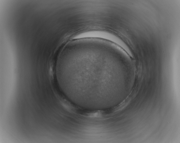 X0000112010116200908101350