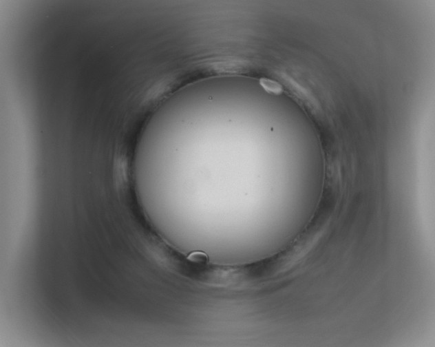 X0000112010117200908101350