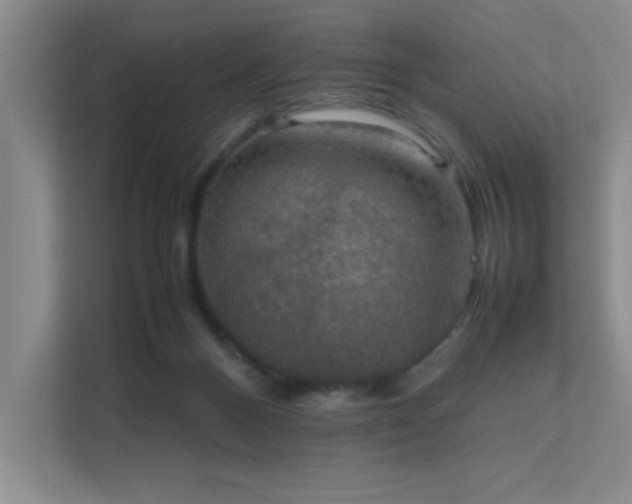 X0000112010120200908101350