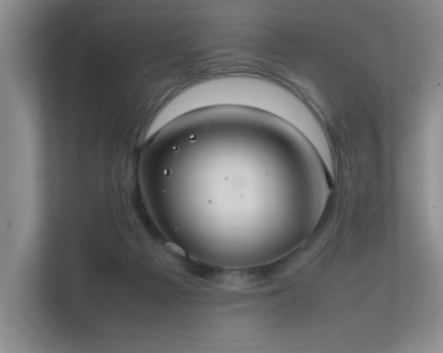 X0000112010121200908101350