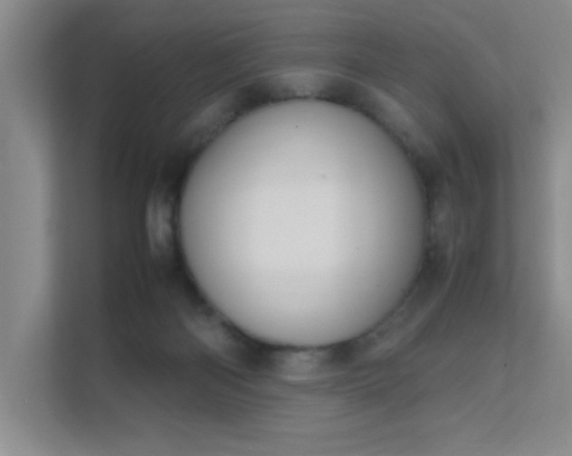 X0000112010122200908101350