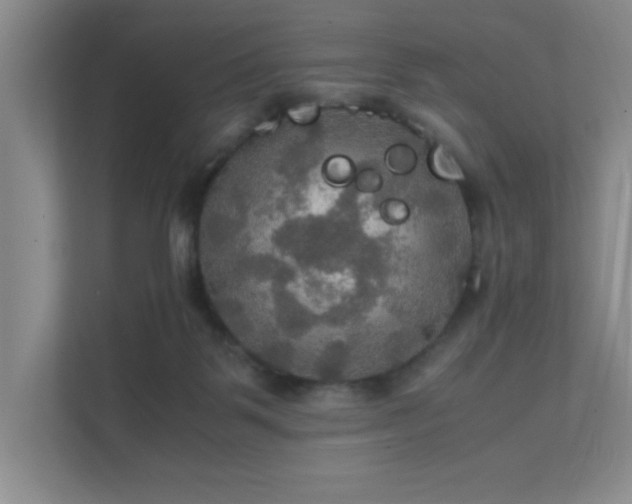 X0000112010123200908101350