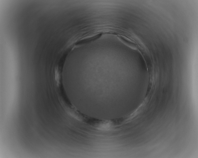 X0000112010124200908101349