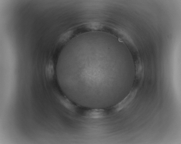 X0000112010128200908101349