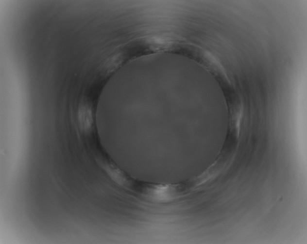 X0000112010130200908101349