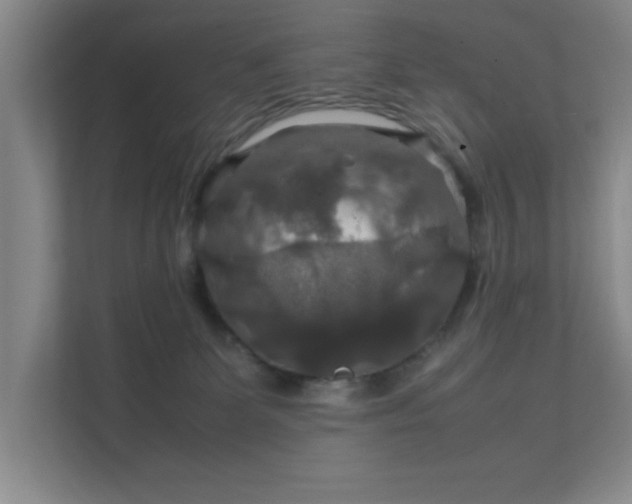 X0000112010131200908101349