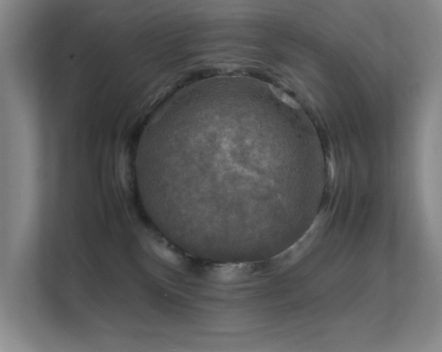 X0000112010136200908101349