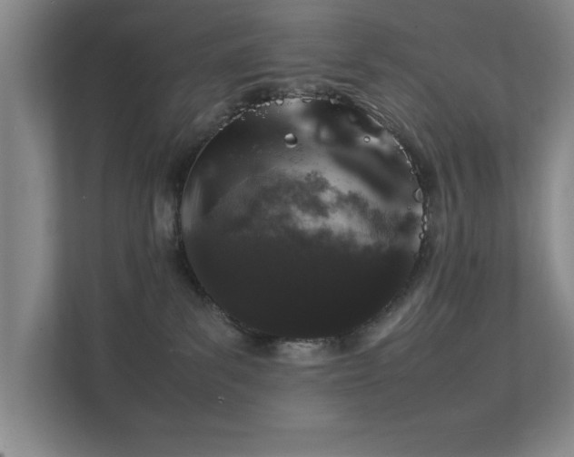 X0000112010139200908101349