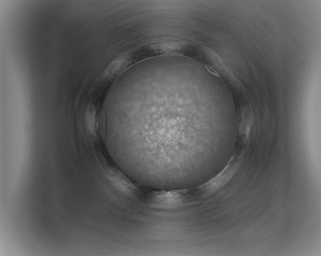 X0000112010140200908101349