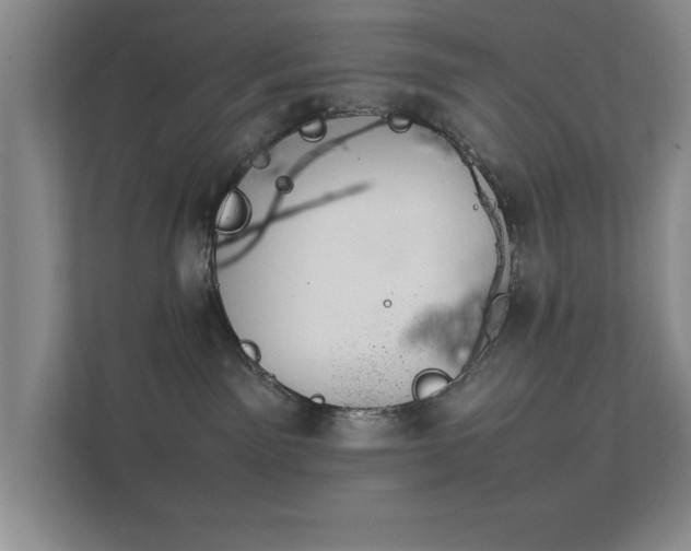 X0000112010141200908101349