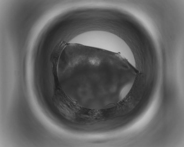 X0000112010143200908101349