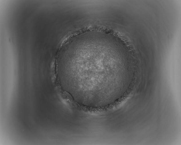 X0000112010144200908101349