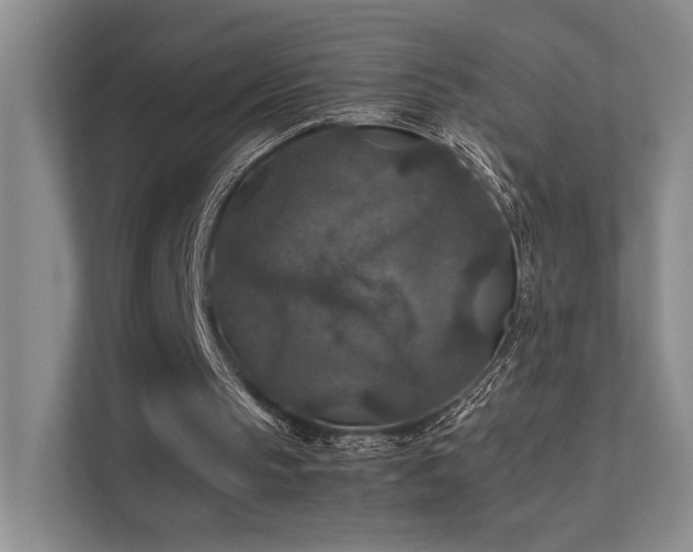 X0000112010145200908101349