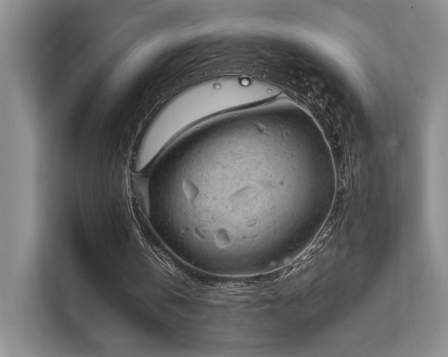 X0000112010146200908101349