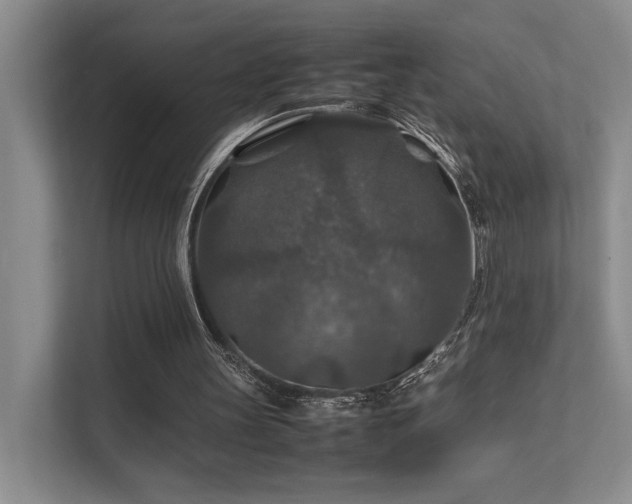 X0000112010147200908101349