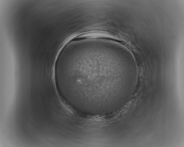 X0000112010148200908101349