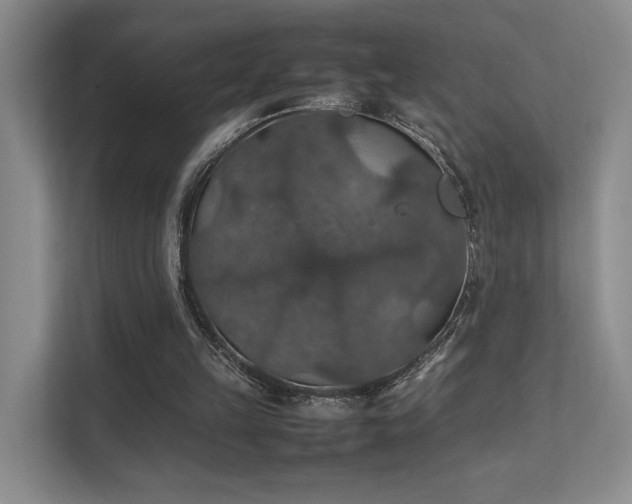 X0000112010149200908101349