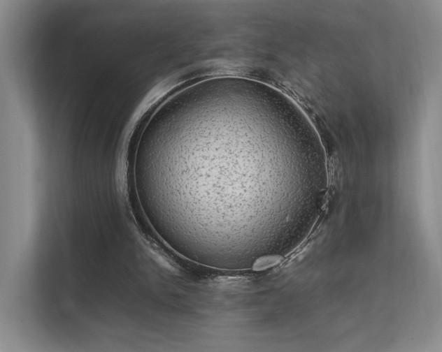 X0000112010150200908101349