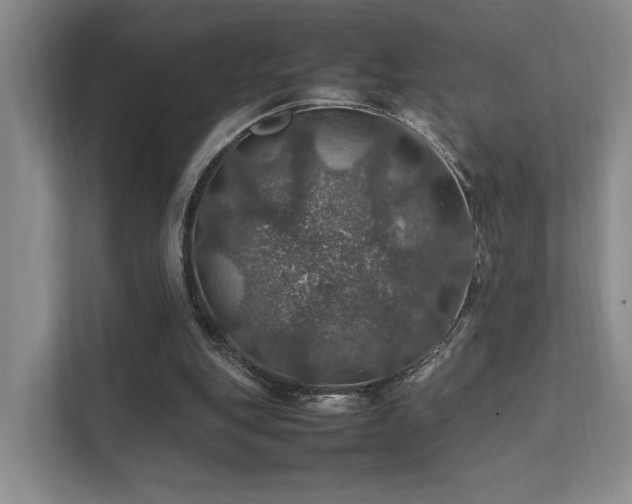 X0000112010151200908101349