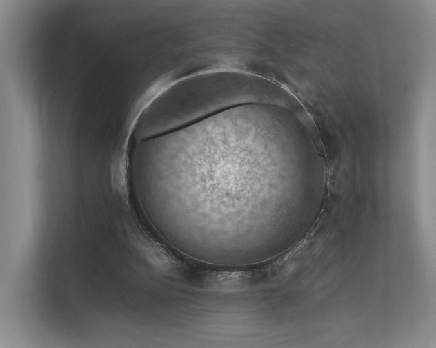 X0000112010152200908101349