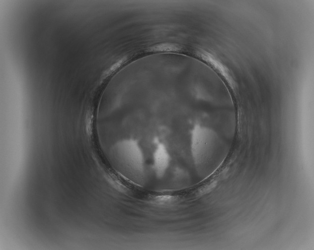 X0000112010153200908101349