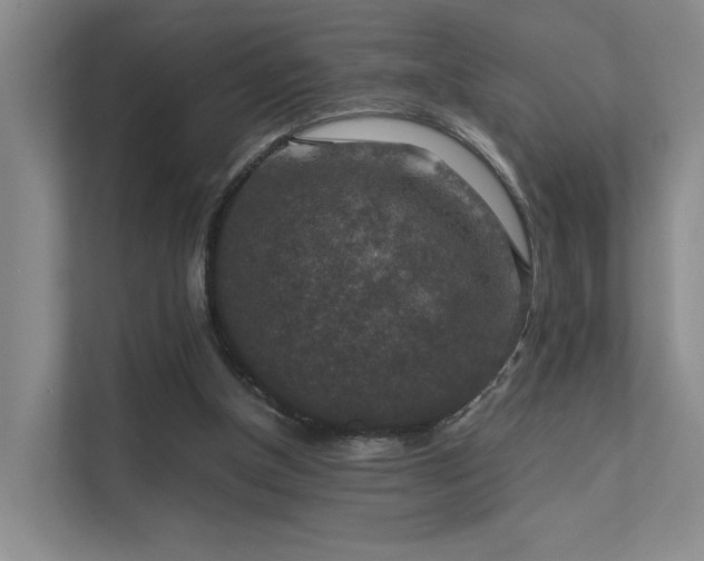 X0000112010154200908101349