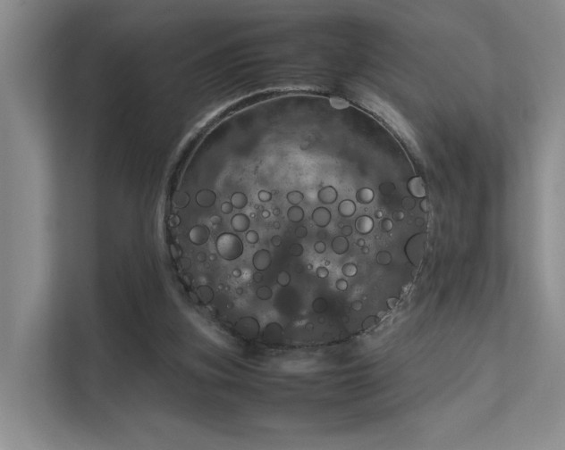 X0000112010155200908101349