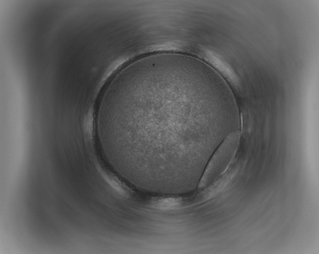 X0000112010156200908101349