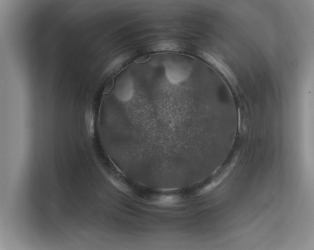 X0000112010157200908101349