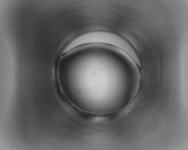 X0000112010158200908101349