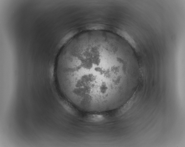 X0000112010159200908101349