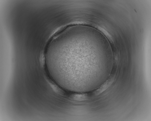 X0000112010160200908101349