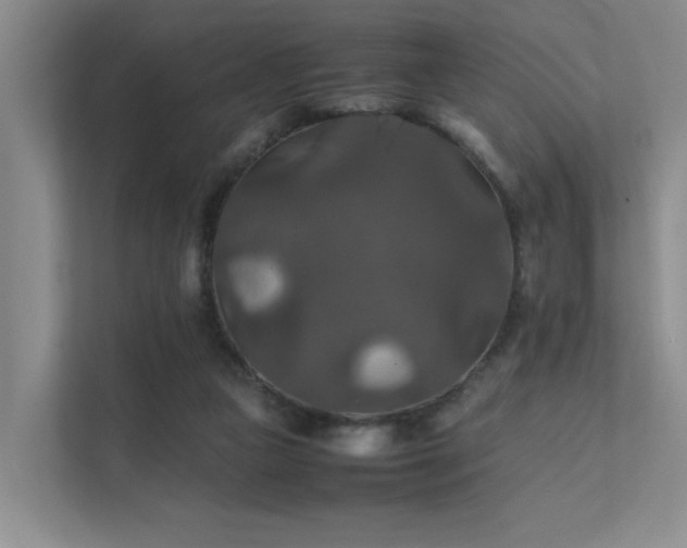 X0000112010161200908101349