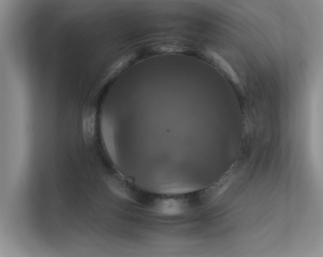 X0000112010163200908101349