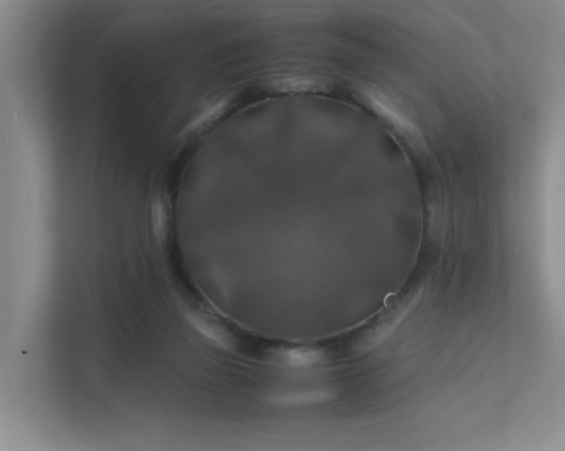 X0000112010165200908101349