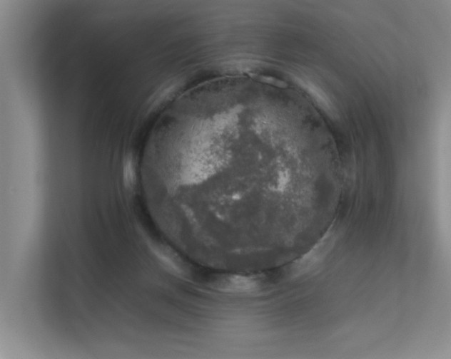 X0000112010166200908101349