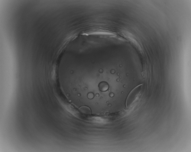 X0000112010167200908101349