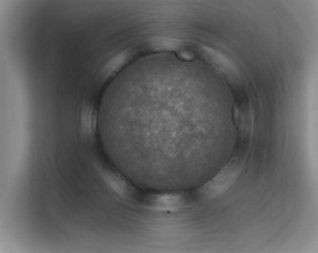 X0000112010168200908101349