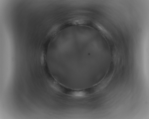 X0000112010169200908101349