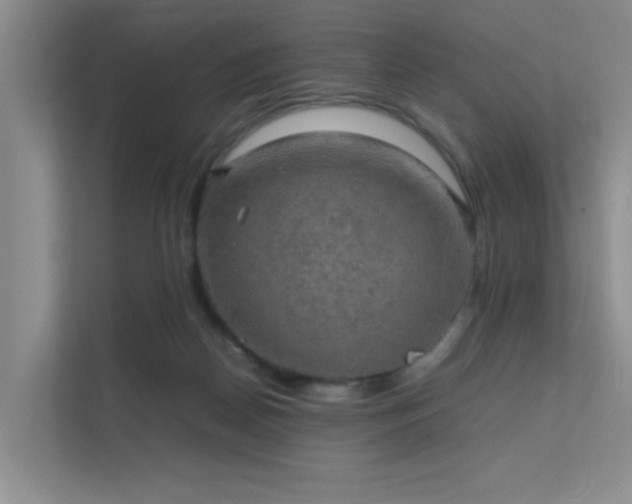 X0000112010170200908101349