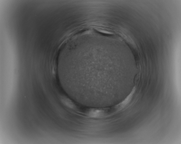 X0000112010174200908101349