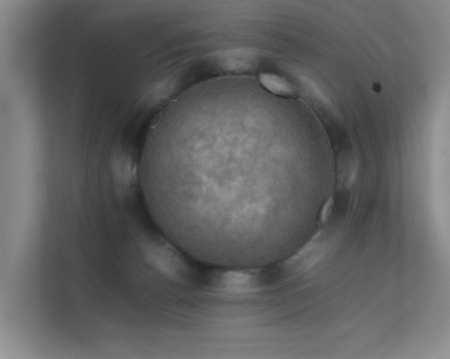 X0000112010176200908101349