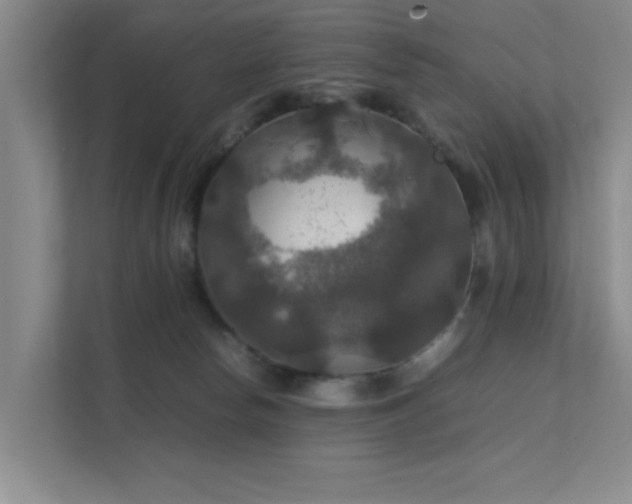 X0000112010178200908101349