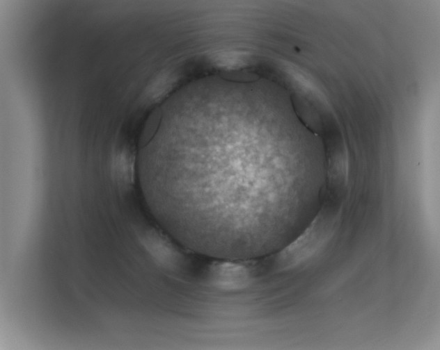 X0000112010180200908101349