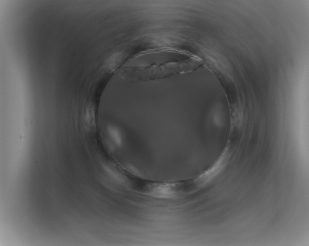 X0000112010182200908101349