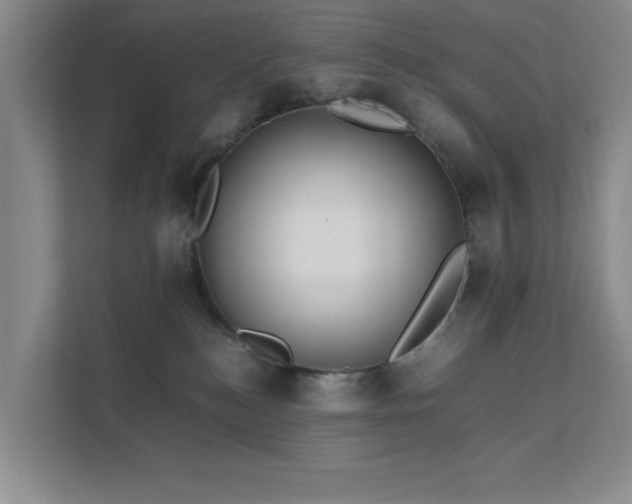 X0000112010184200908101349