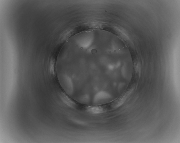 X0000112010185200908101349