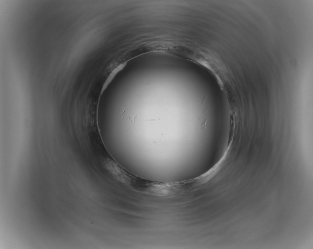 X0000112010190200908101349