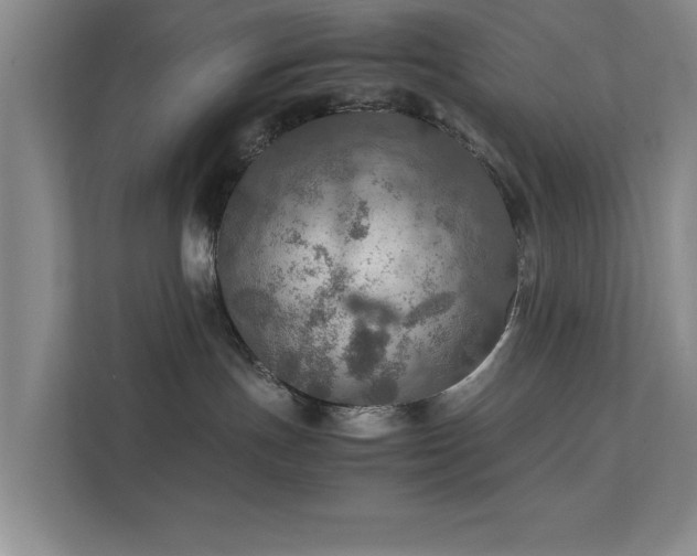 X0000112010191200908101349